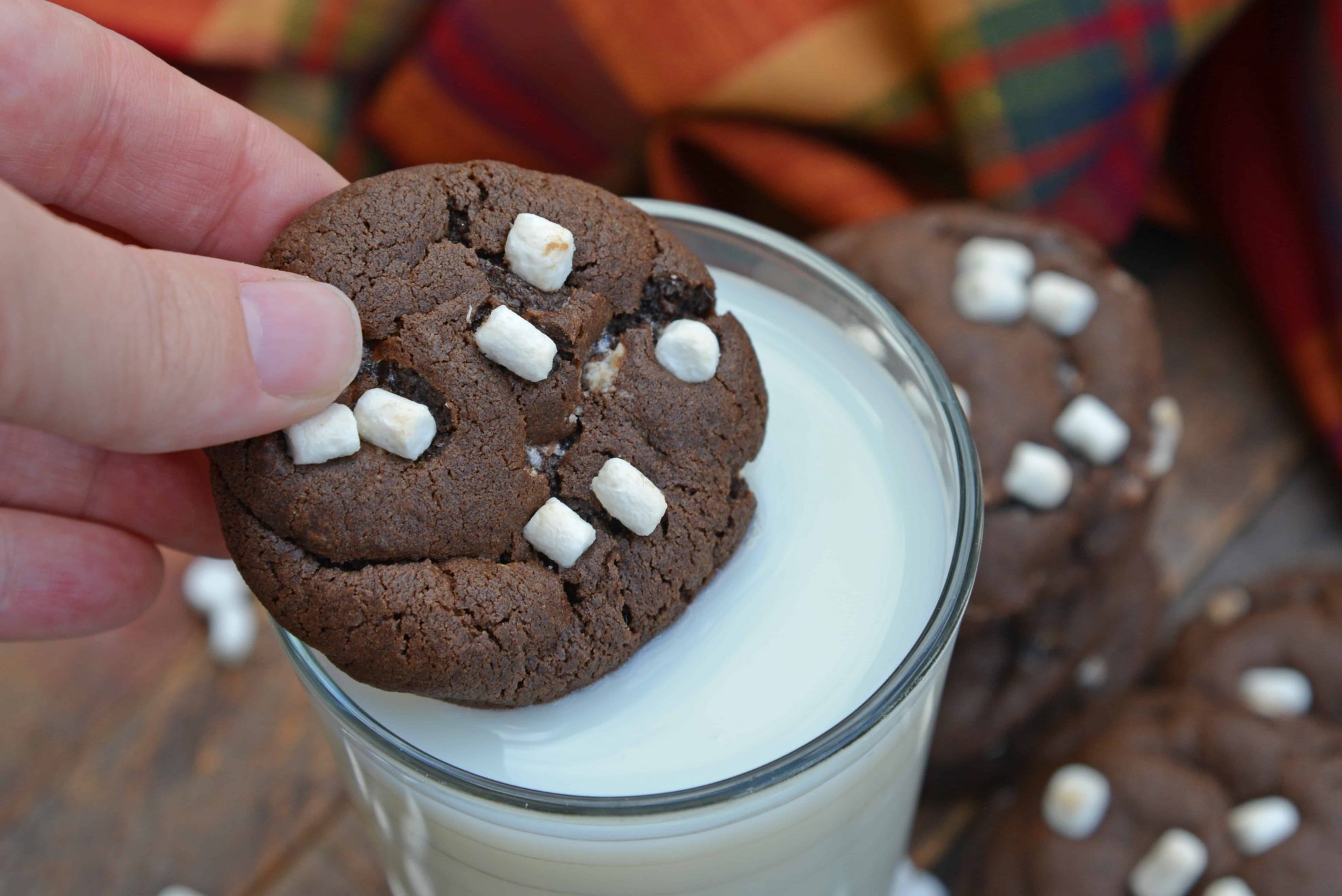 Hot Chocolate Cookies are must-make Christmas cookies! A favorite chocolate sugar cookie recipe with marshmallows, you'll never be able to eat just one! #hotchocolatecookies #chocolatesugarcookiesrecipe #christmascookies www.savoryexperiments.com