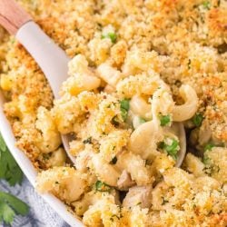spoon with turkey casserole and bread crumb topping