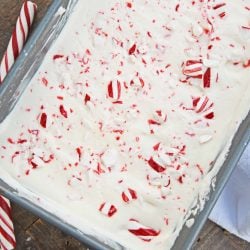 No-Churn Peppermint Ice Cream is an easy homemade ice cream recipe made with just 5 ingredients. No ice cream maker required! Perfect for the holidays. #candycaneicecream #nochurnicecream #homemadeicecreamrecipes www.savoryexperiments.com