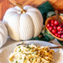 turkey tetrazzini with a white pumpkin