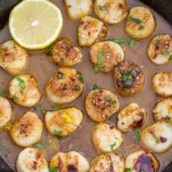 Lemon garlic scallops in a skillet - skillet meals