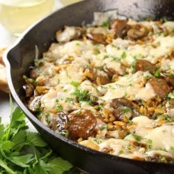 skillet chicken marsala and orzo
