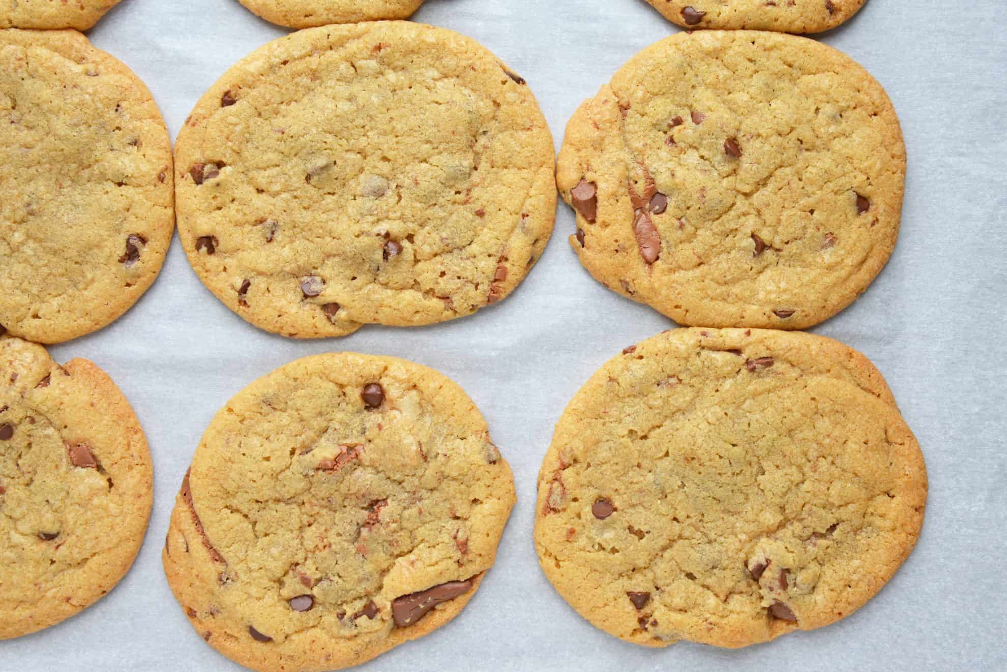 Chocolate chip cookies on a baking sheet