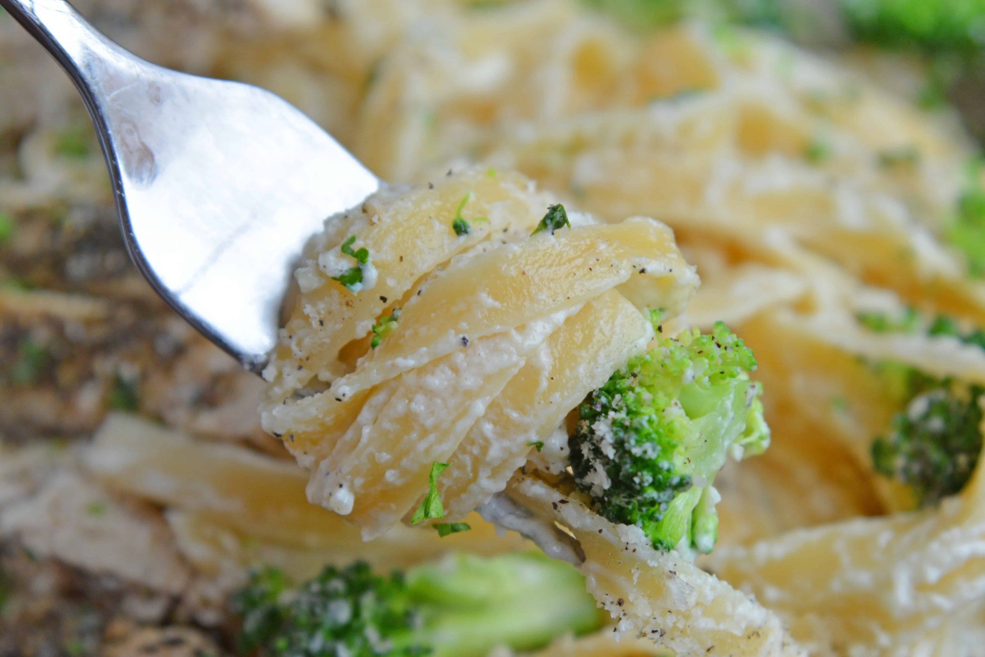 Chicken alfredo on a fork with a piece of broccoli
