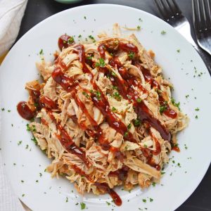 Overhead of Crockpot BBQ Chicken