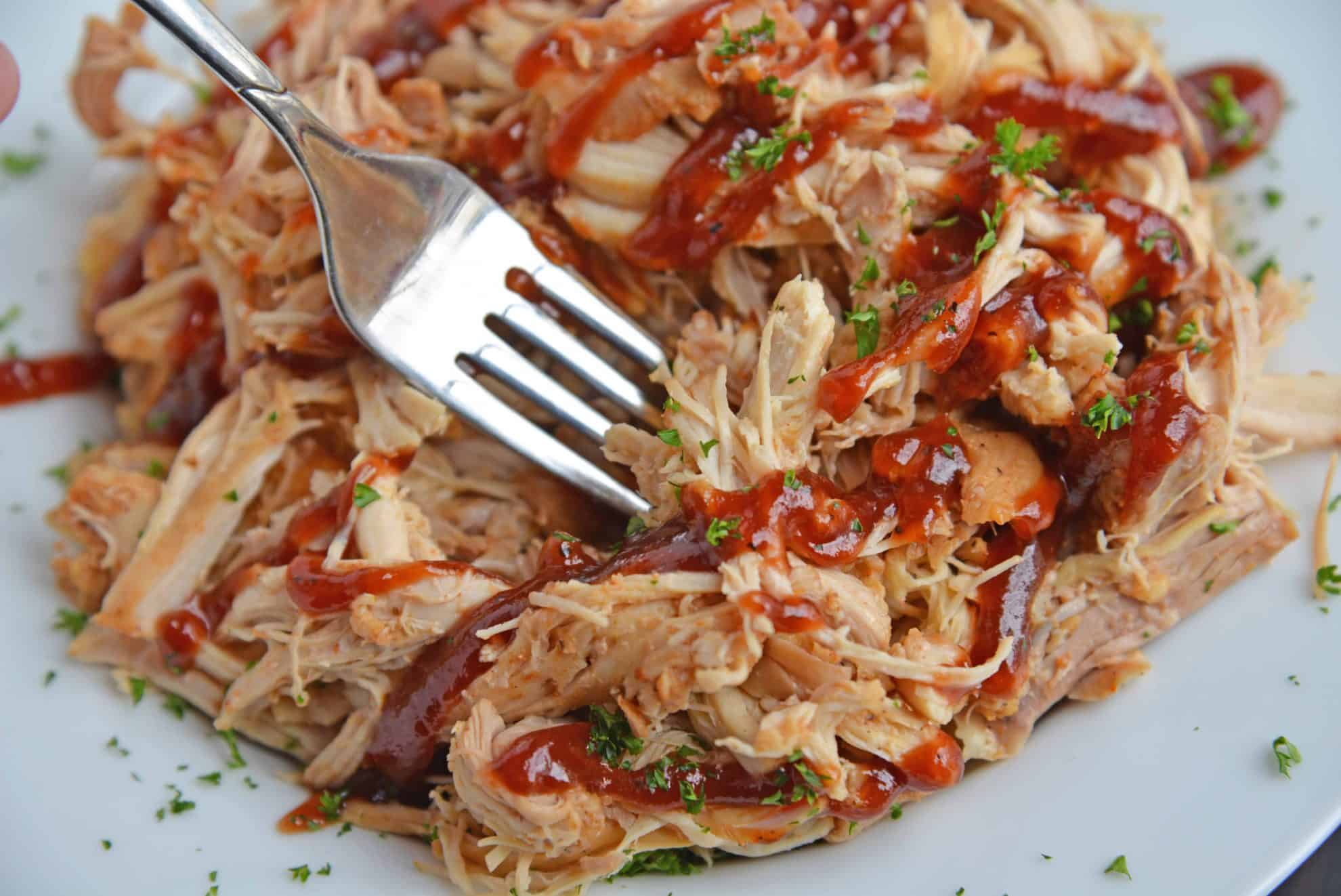 Close up of pulled chicken