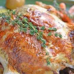 close up of roast chicken with thyme