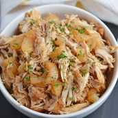 Shredded BBQ Chicken with caramelized onion