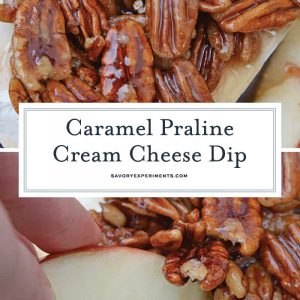 Caramel Praline Cream Cheese Dip for Pinterest