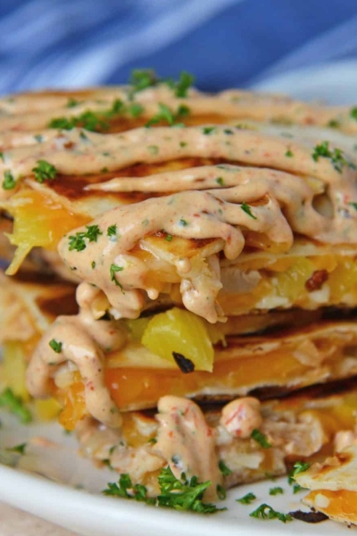 A close up of a plate of food, with Chicken and Quesadilla