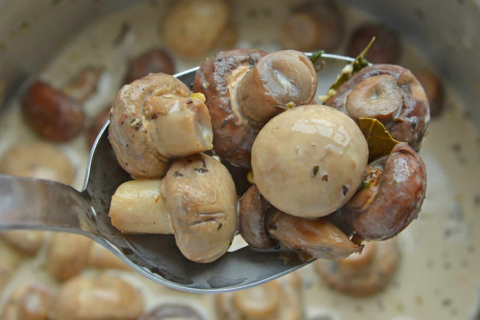 Sauteed mushrooms in a serving spoon
