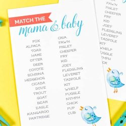 match the mama and baby game