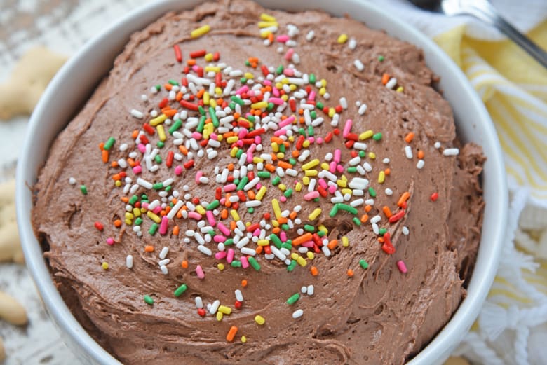 Closeup of Chocolate Dunkaroo Dip