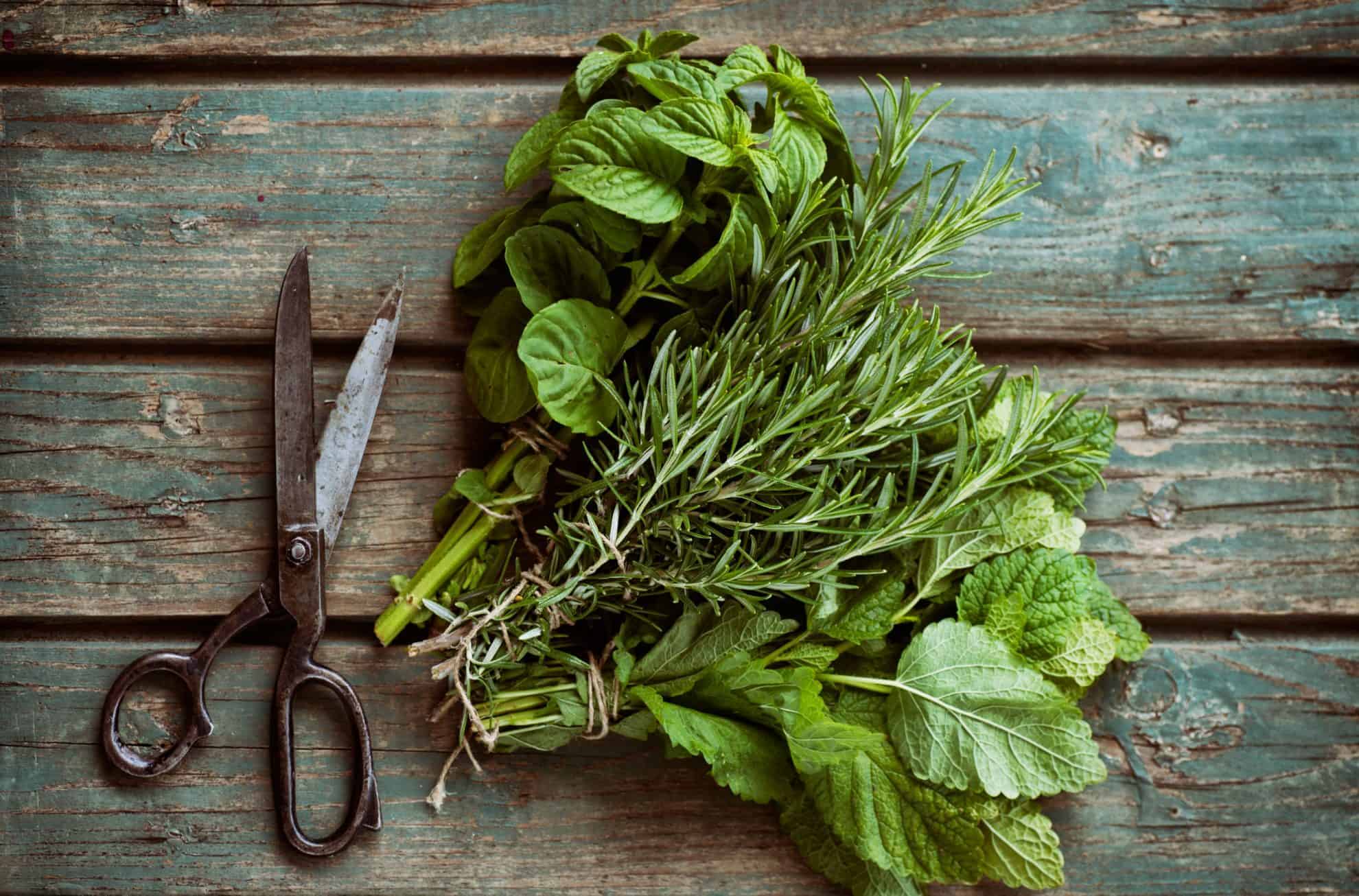 Freshly cut herbs