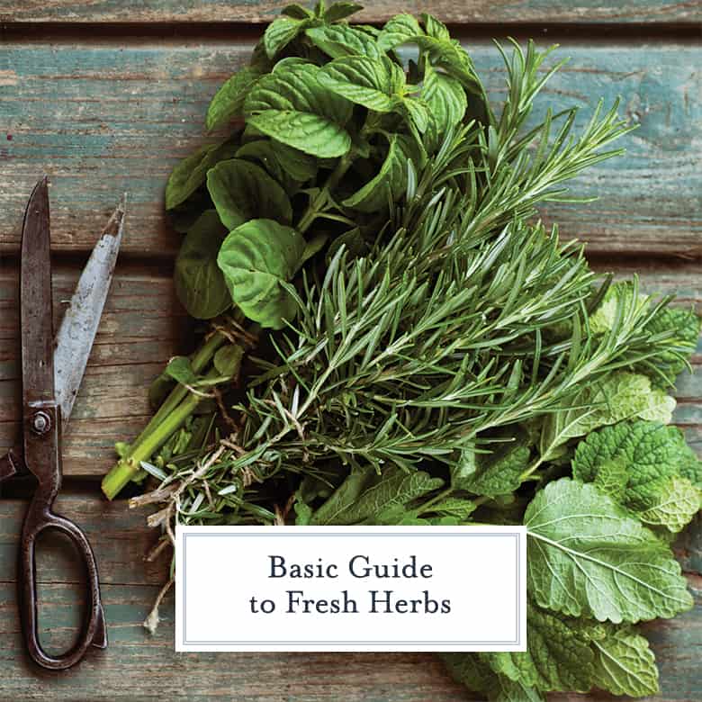 Bundle of fresh herbs