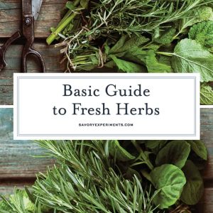 Fresh herb guide