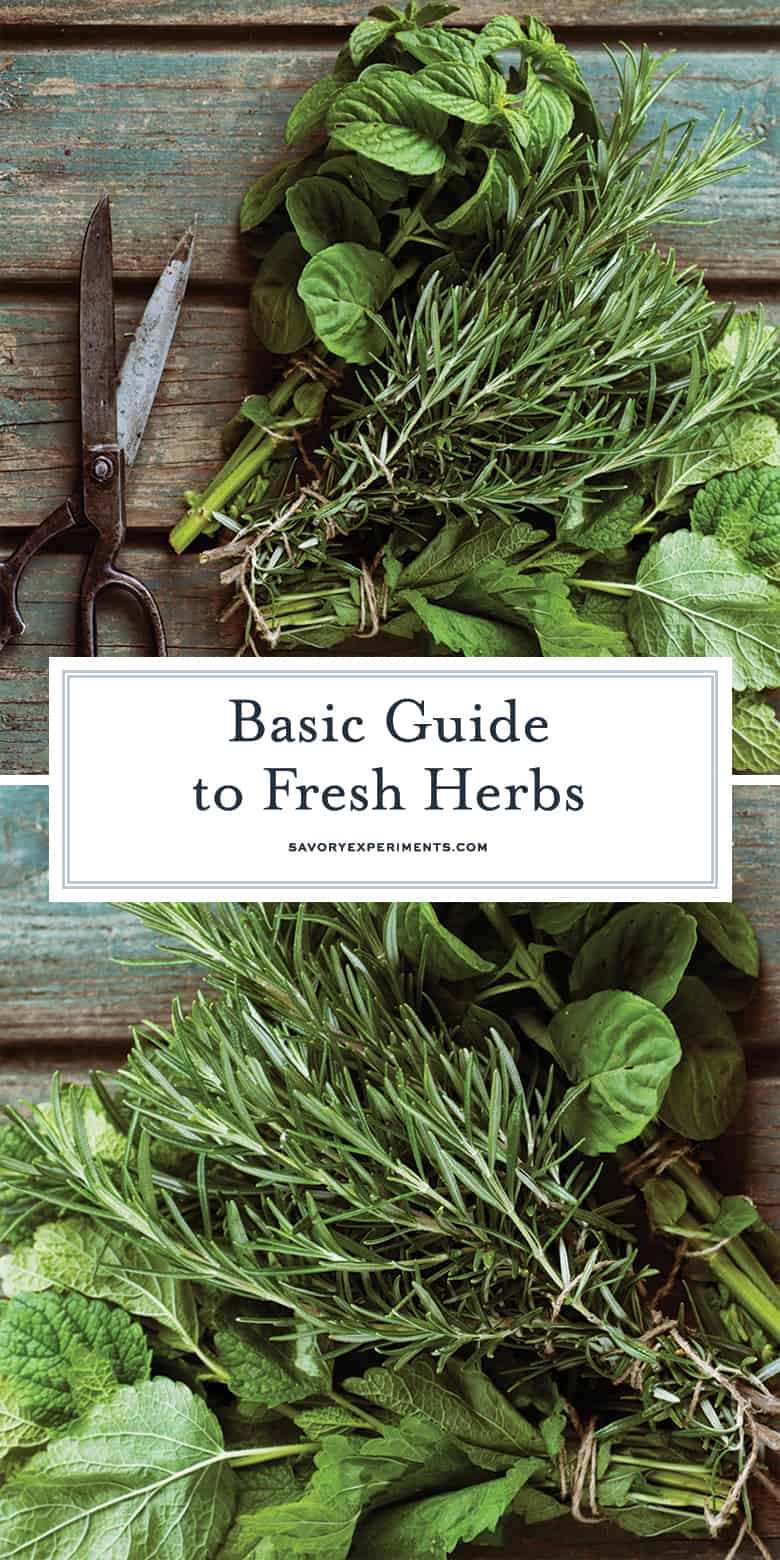 Fresh herb guide