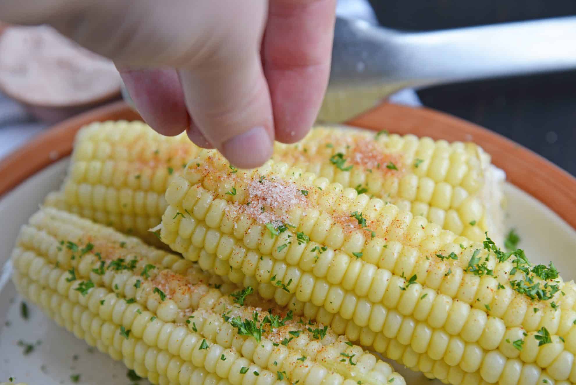 BADIA CORN HUSKS, Salt, Spices & Seasonings