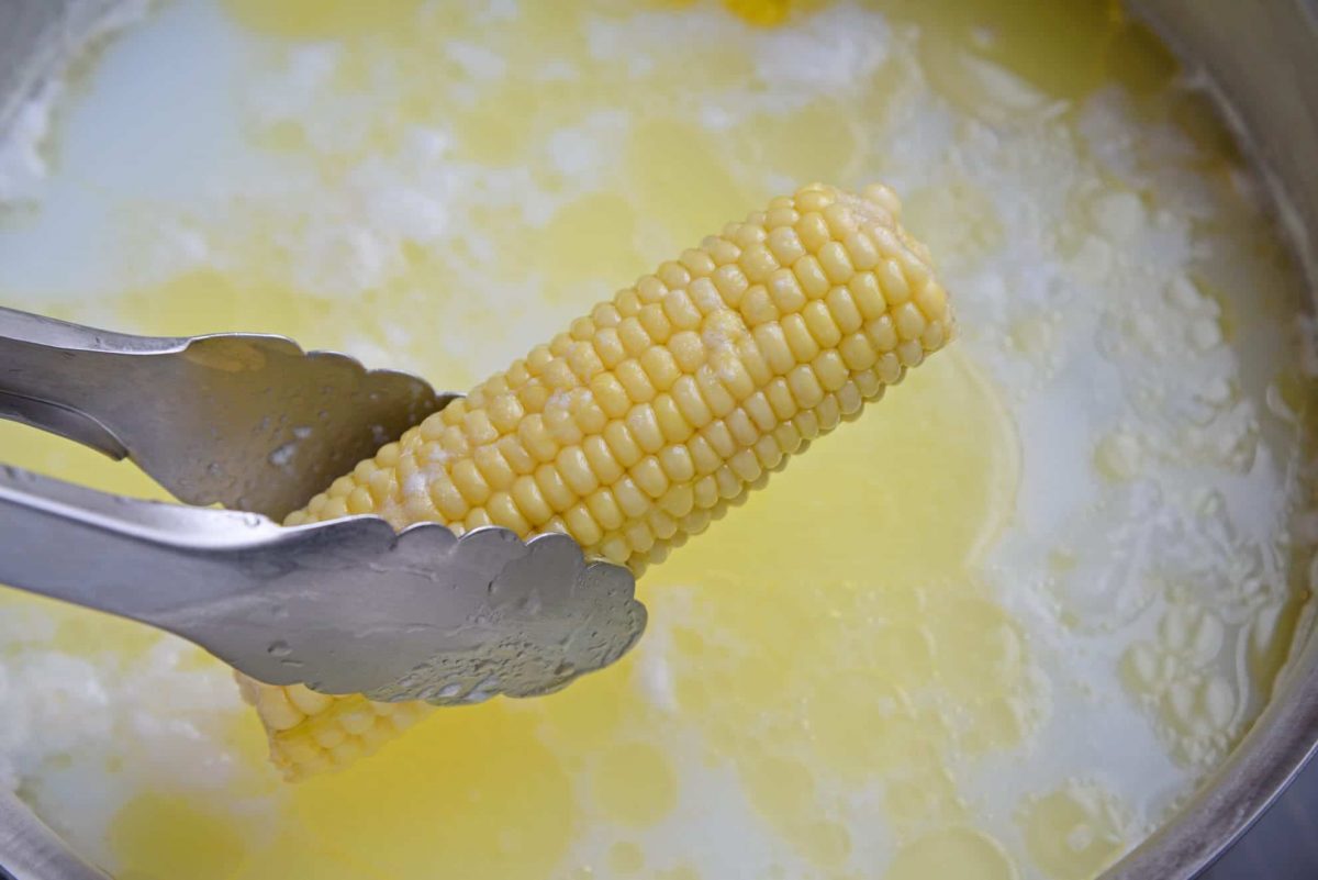 corn on the cob in boiling water 