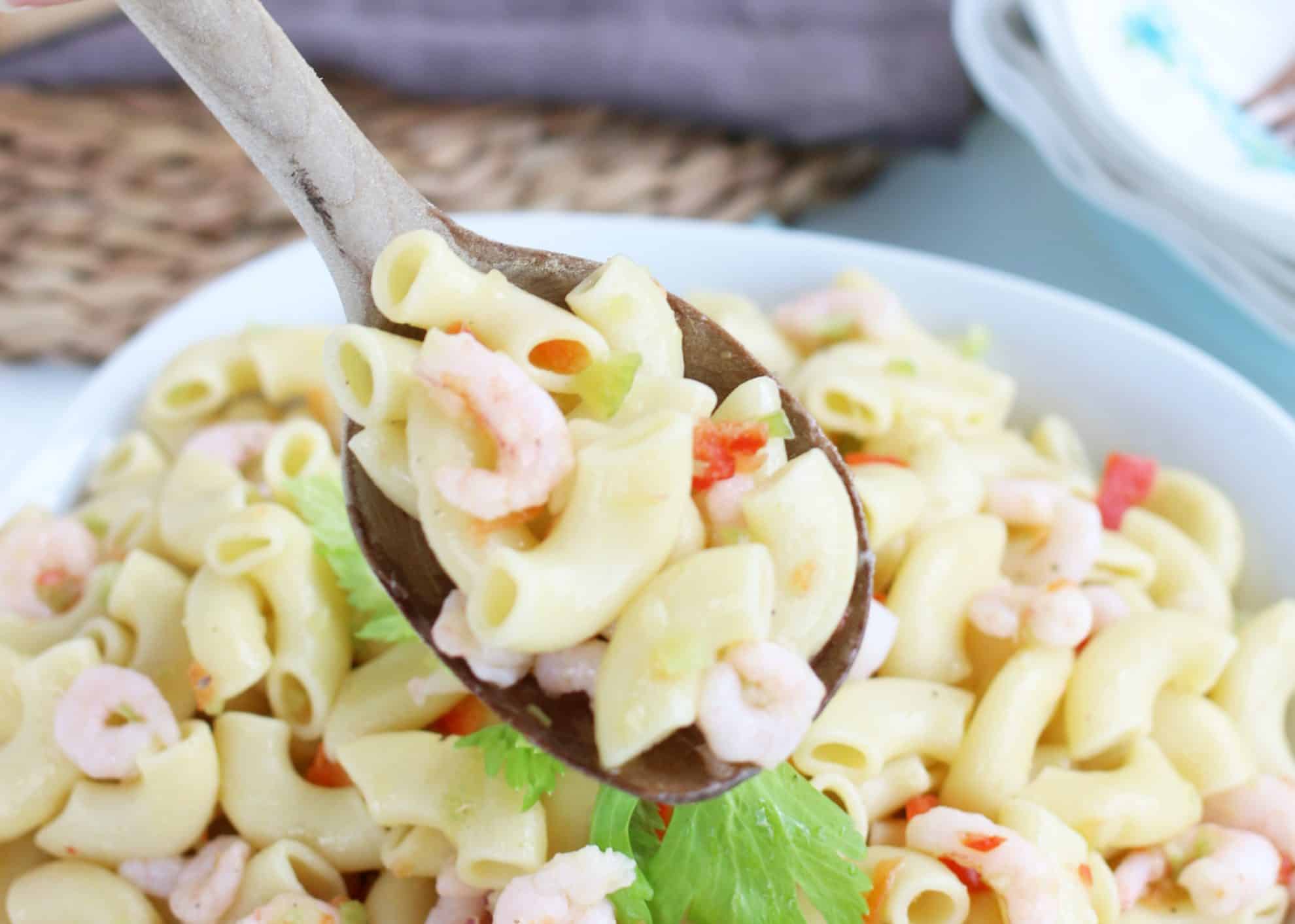 spoonful of pasta salad
