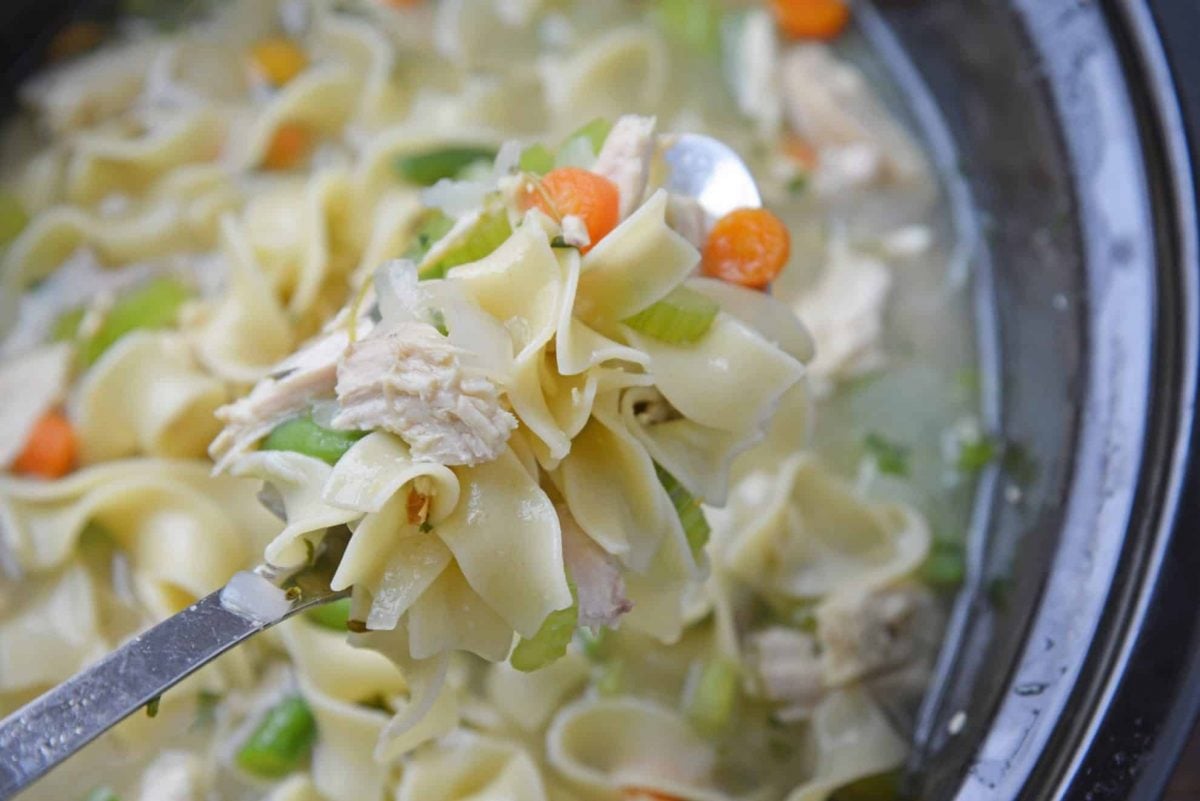 Spoon full of chicken noodle soup with shredded chicken, carrots and celery 