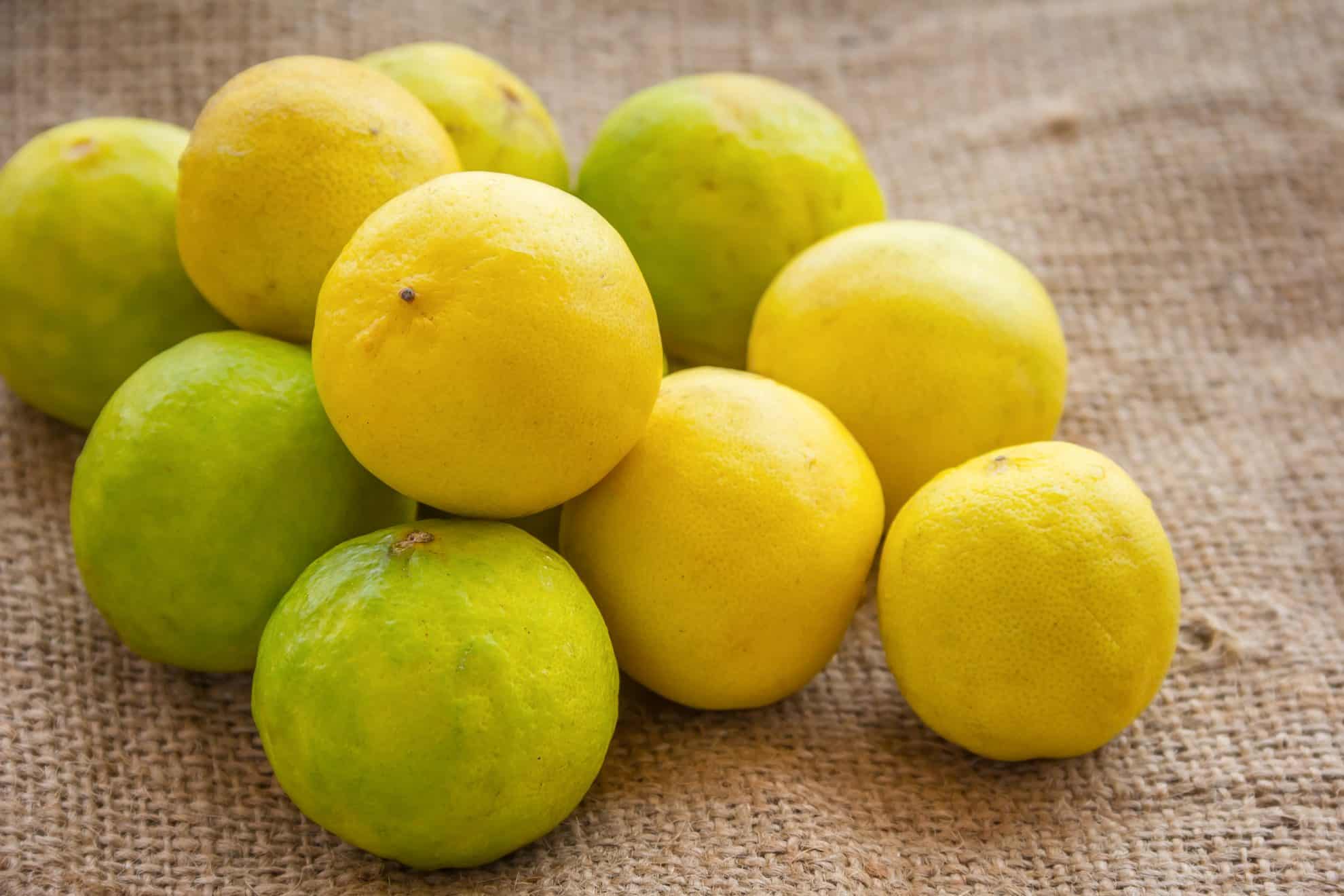 Lemons on burlap