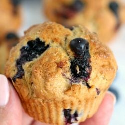 hand holding blueberry muffins