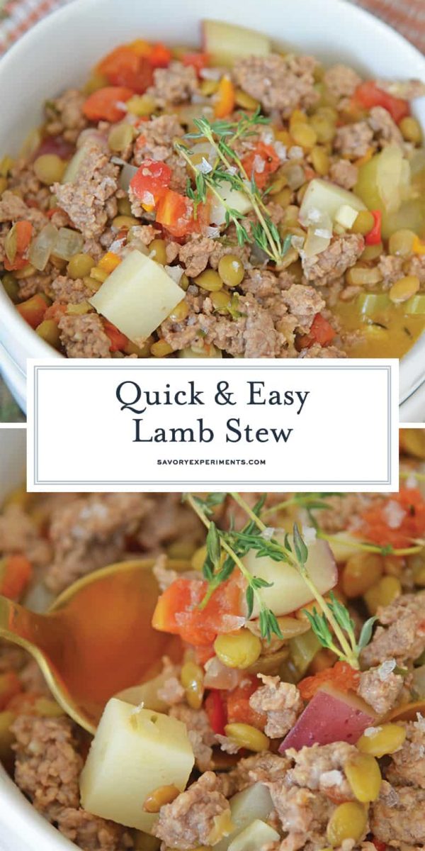 Ground Lamb Stew in a bowl for pinterest 