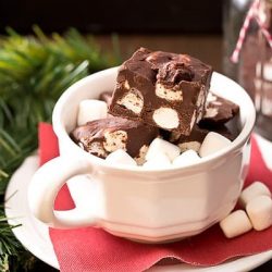 Hot chocolate fudge in a mug