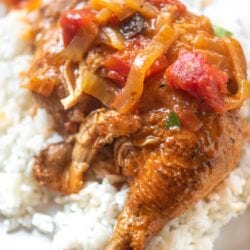 overhead shot of instant pot chicken cacciatore over rice
