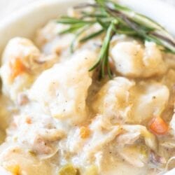 instant pot chicken and dumplings in a bowl