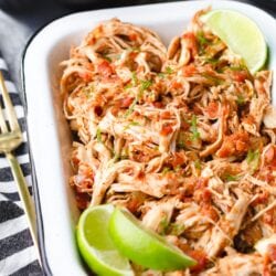 shredded instant pot salsa chicken