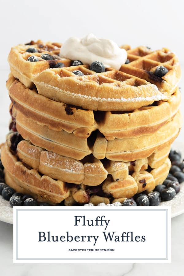 BEST Fluffy Blueberry Waffles from ScratchEASY Blueberry Waffle Recipe