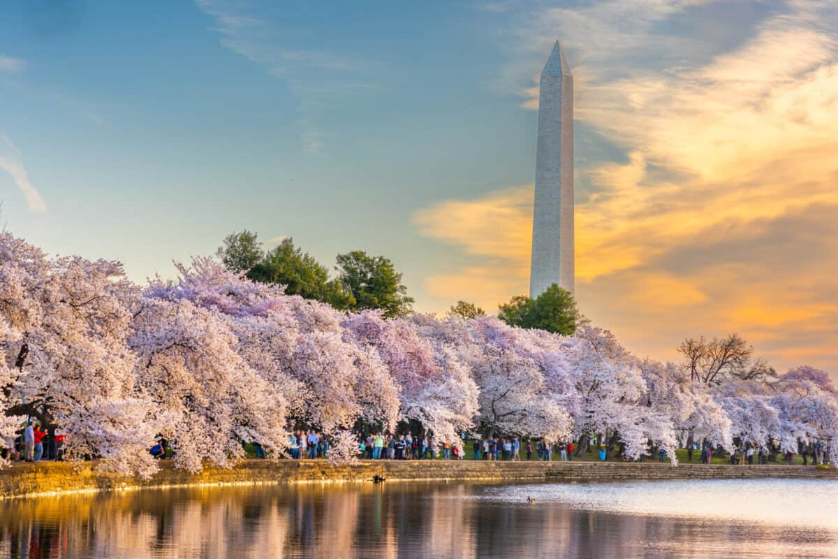 washington monument 