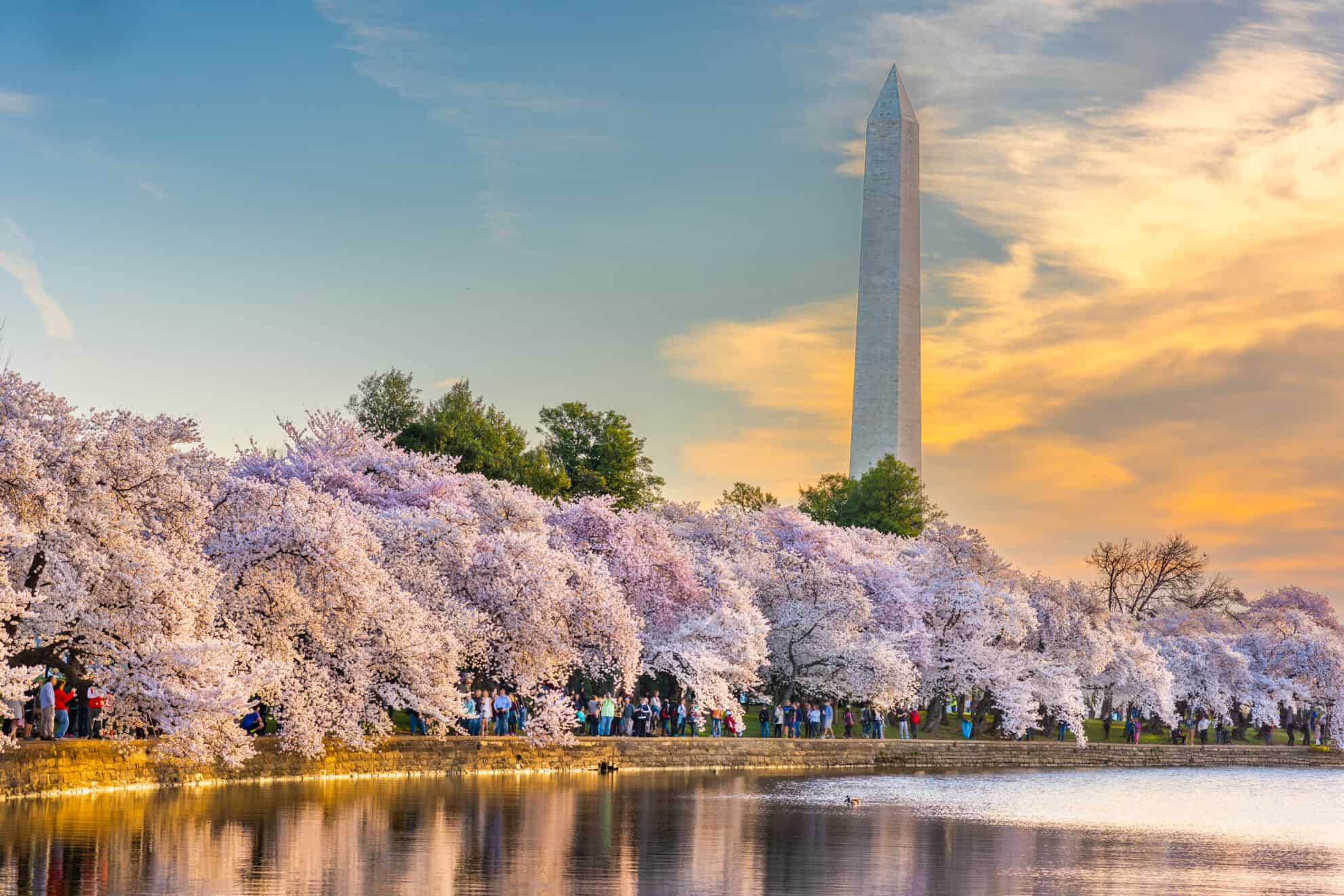 40+ Things to Do in Washington DC Savory Experiments