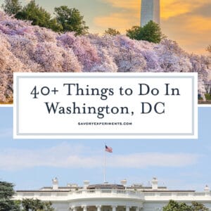 things to do in DC