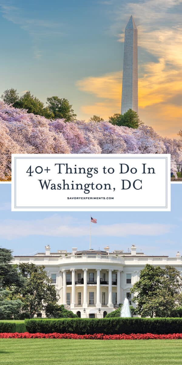 things to do in DC