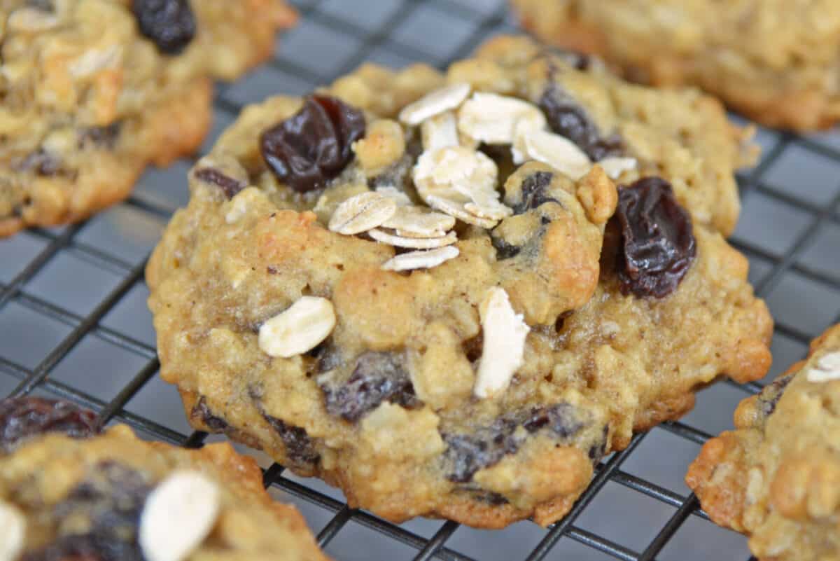 close up of soft oatmeal raisin cookie