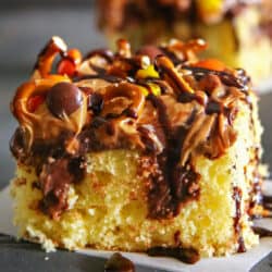 slice of peanut butter pretzel poke cake