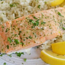 A plate of salmon with rice