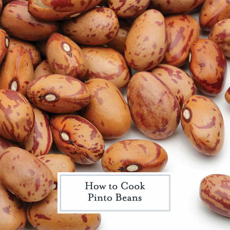 Dry pinto beans 