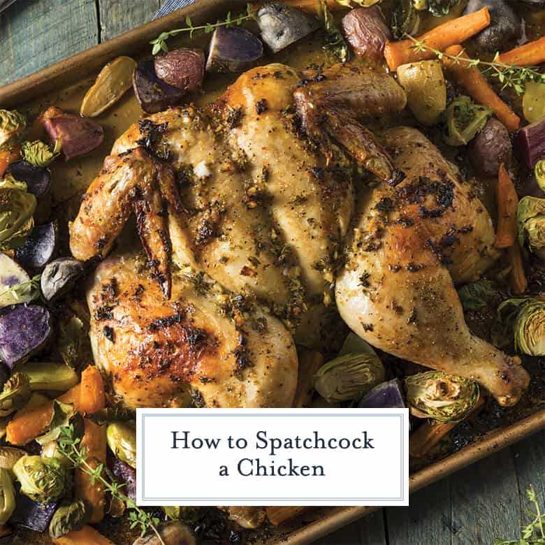 Spatchcocked chicken with herbs, spices and vegetables 
