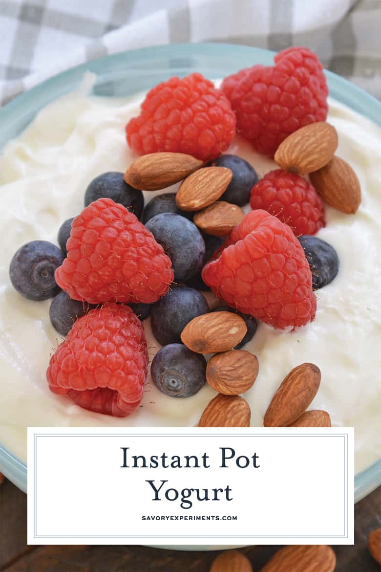 Homemade Yogurt Recipe 