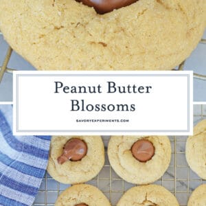 collage of peanut butter blossom cookies