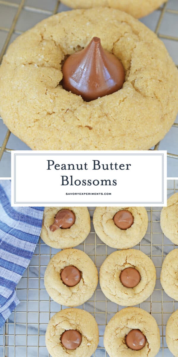 peanut butter blossom cookies for pinterest 