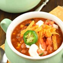 bowl of tortilla lentil soup