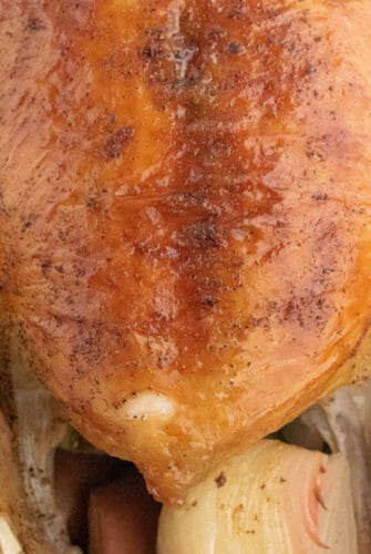 close up of browned turkey