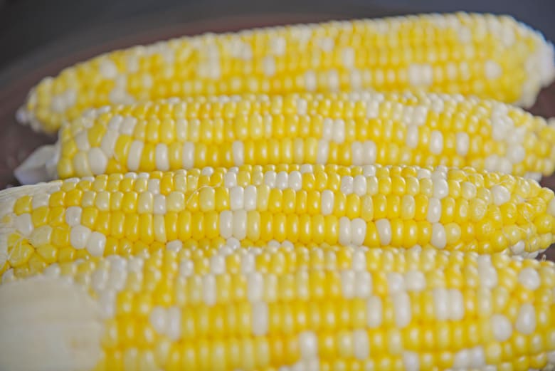 close up fo ears of corn 