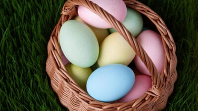 dyed easter eggs in a basket