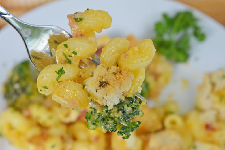 fork with two corkscrew pastas and broccoli 